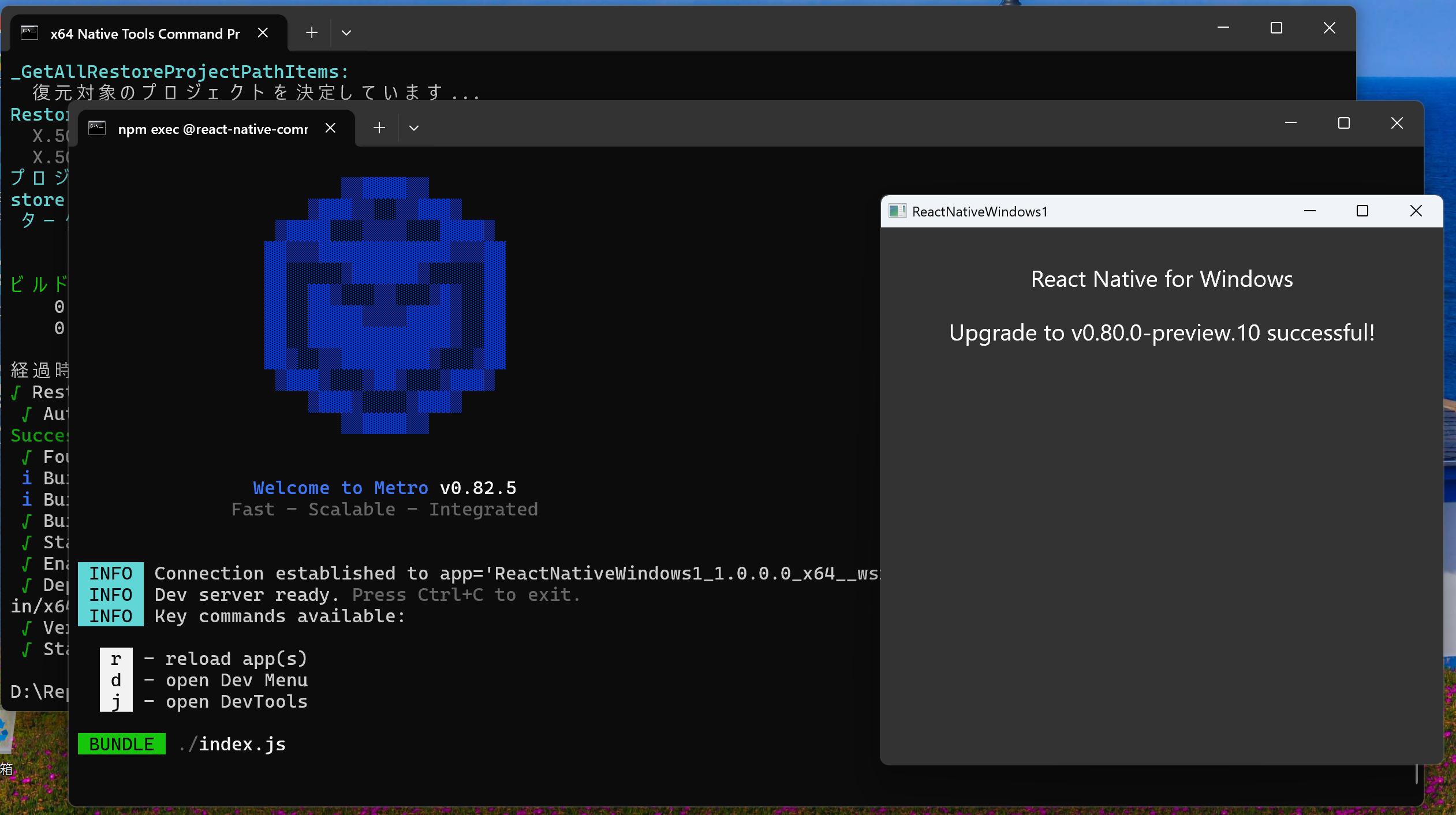 React Native Windows 0.80.0-preview.10