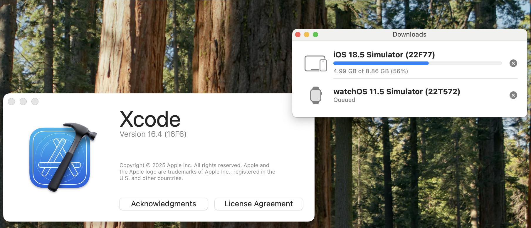 iOS 18.5 Simulator
