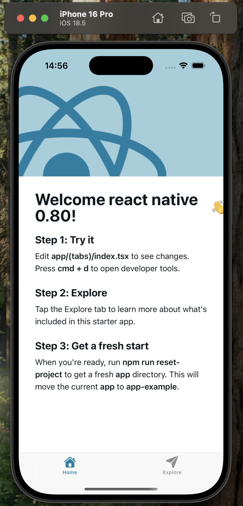 React Native 0.80.0 iOS