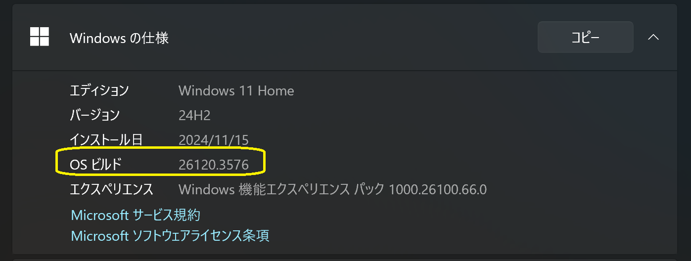 Version Information
