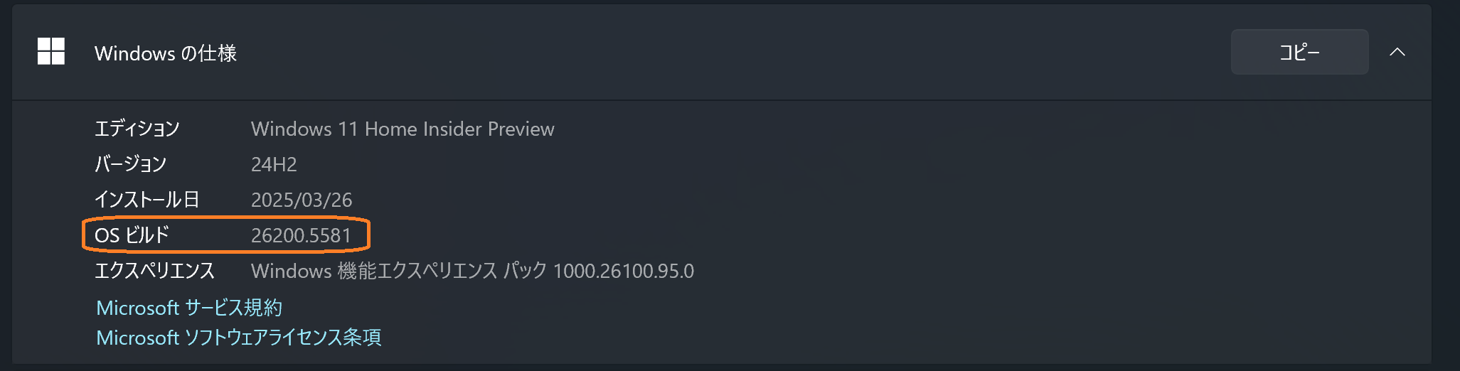 Version Information