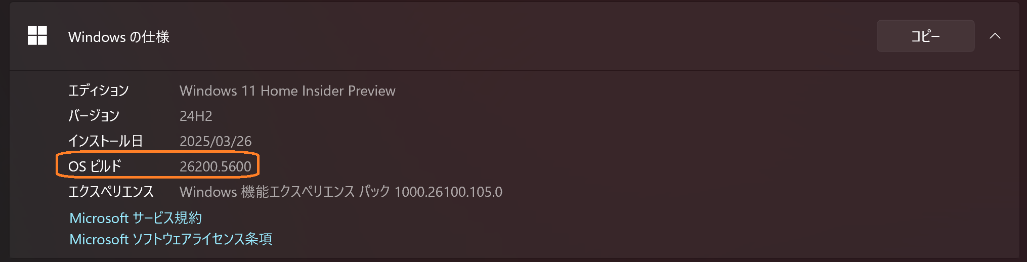 Version Information