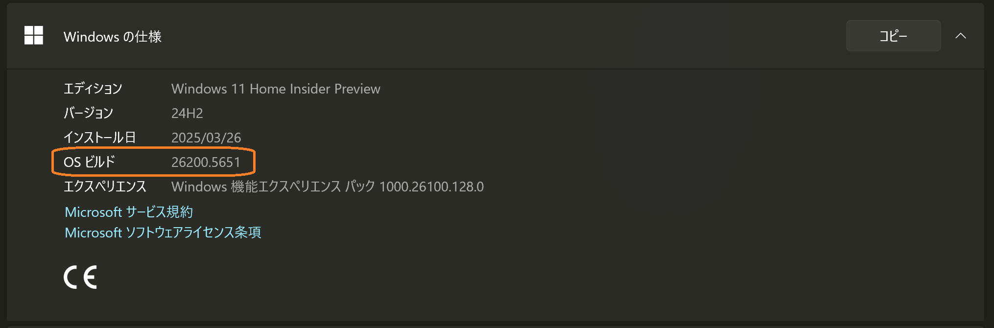 Version Information