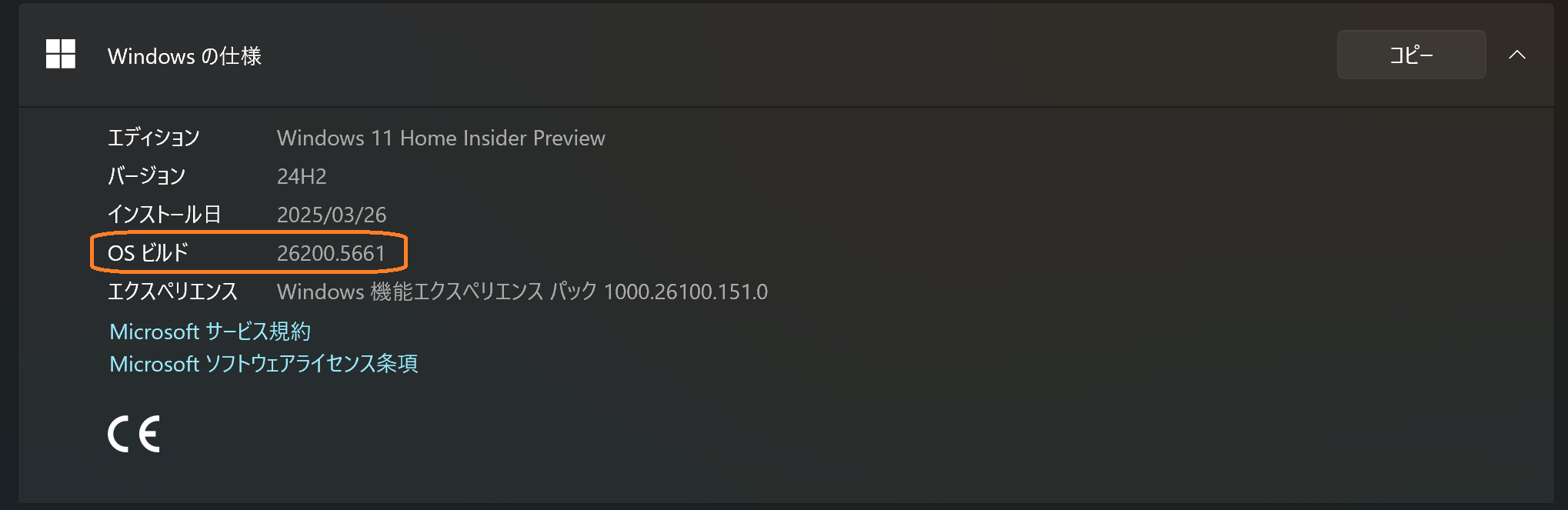 Version Information