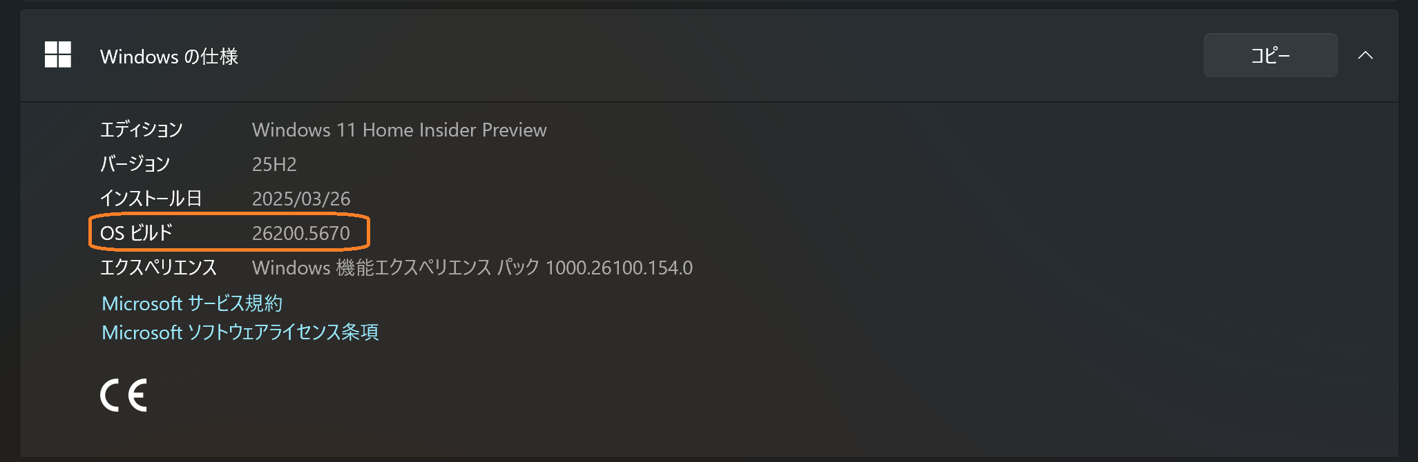 Version Information