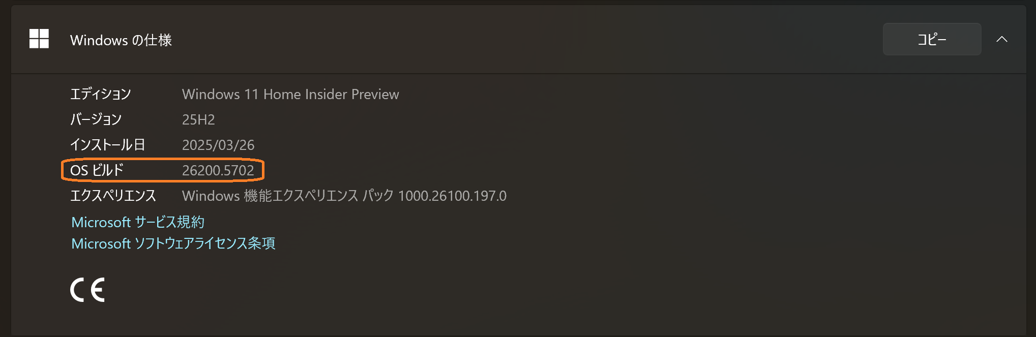 Version Information