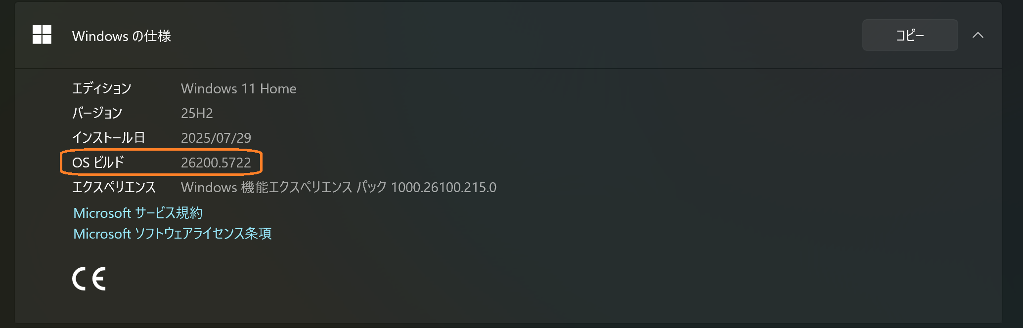 Version Information