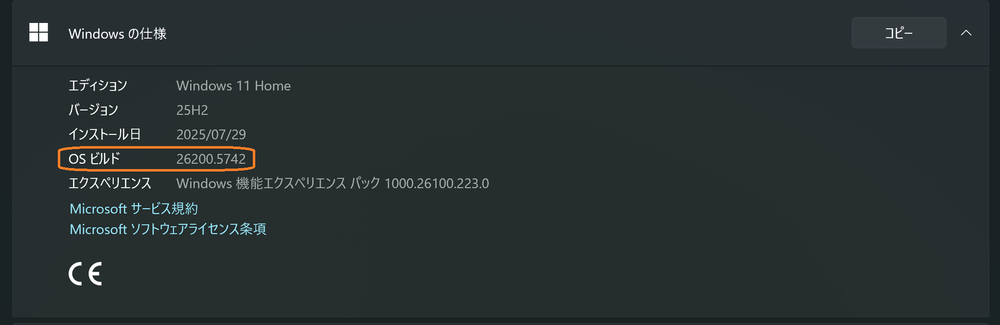 Version Information
