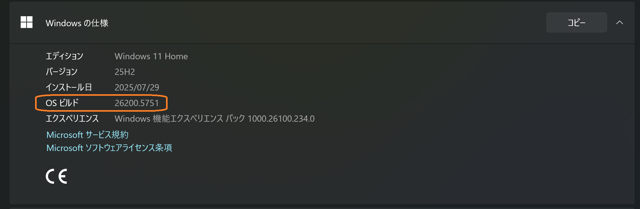 Version Information
