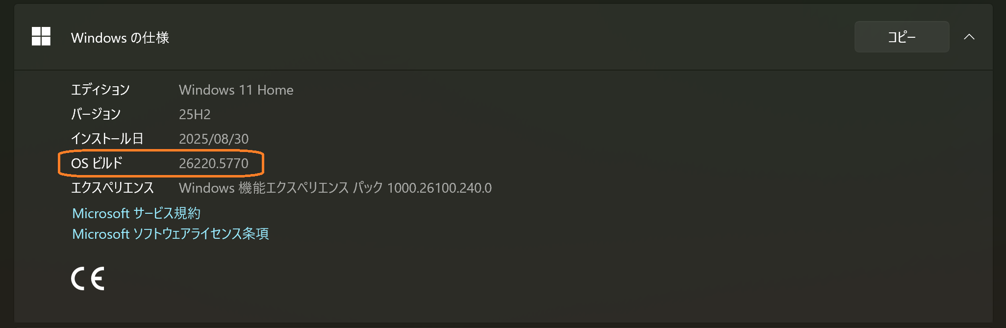 Version Information