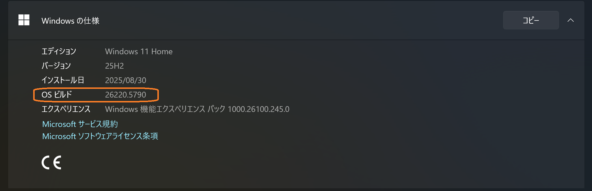 Version Information