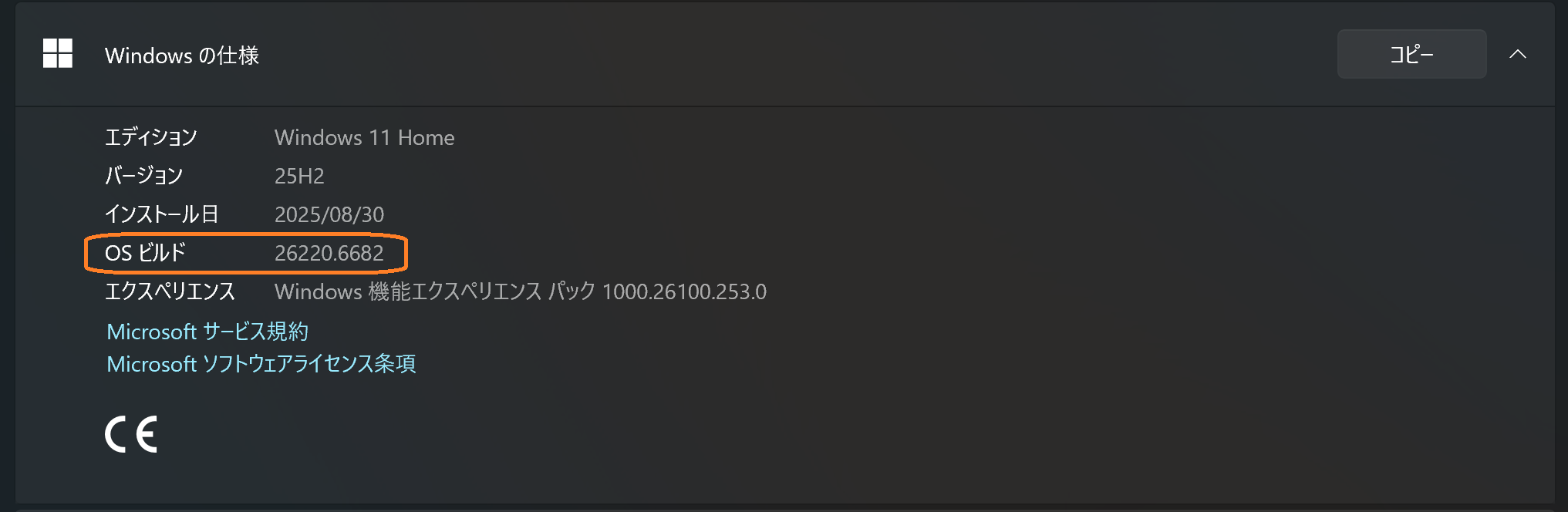 Version Information
