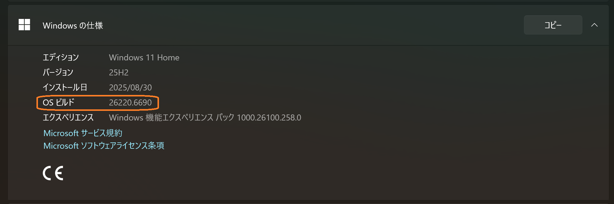 Version Information