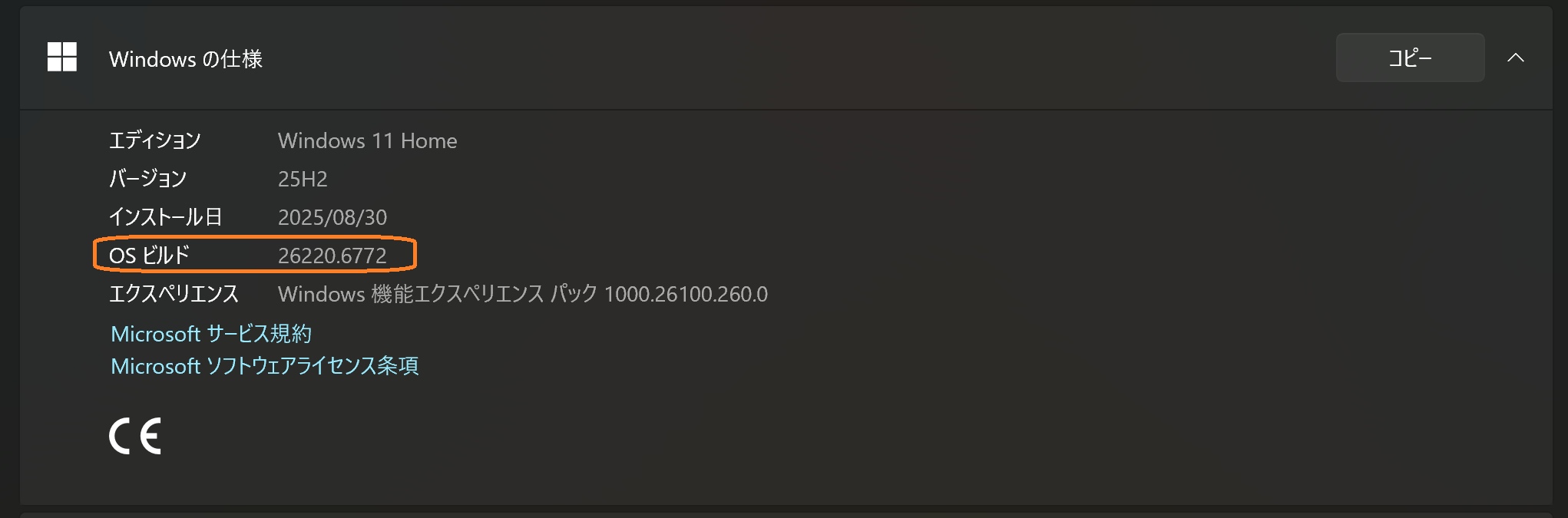 Version Information