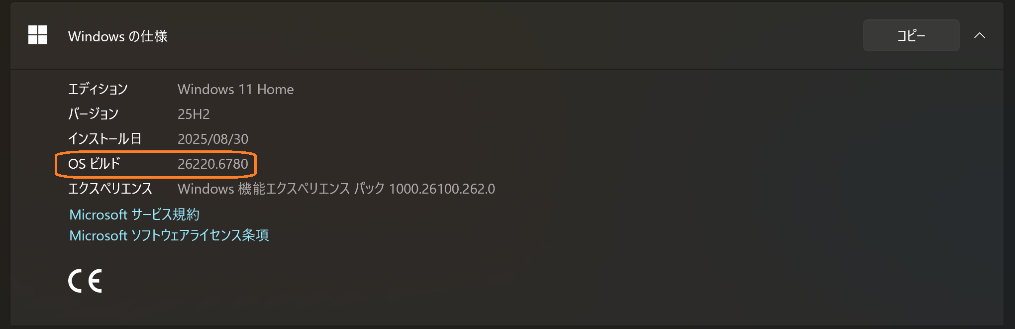 Version Information