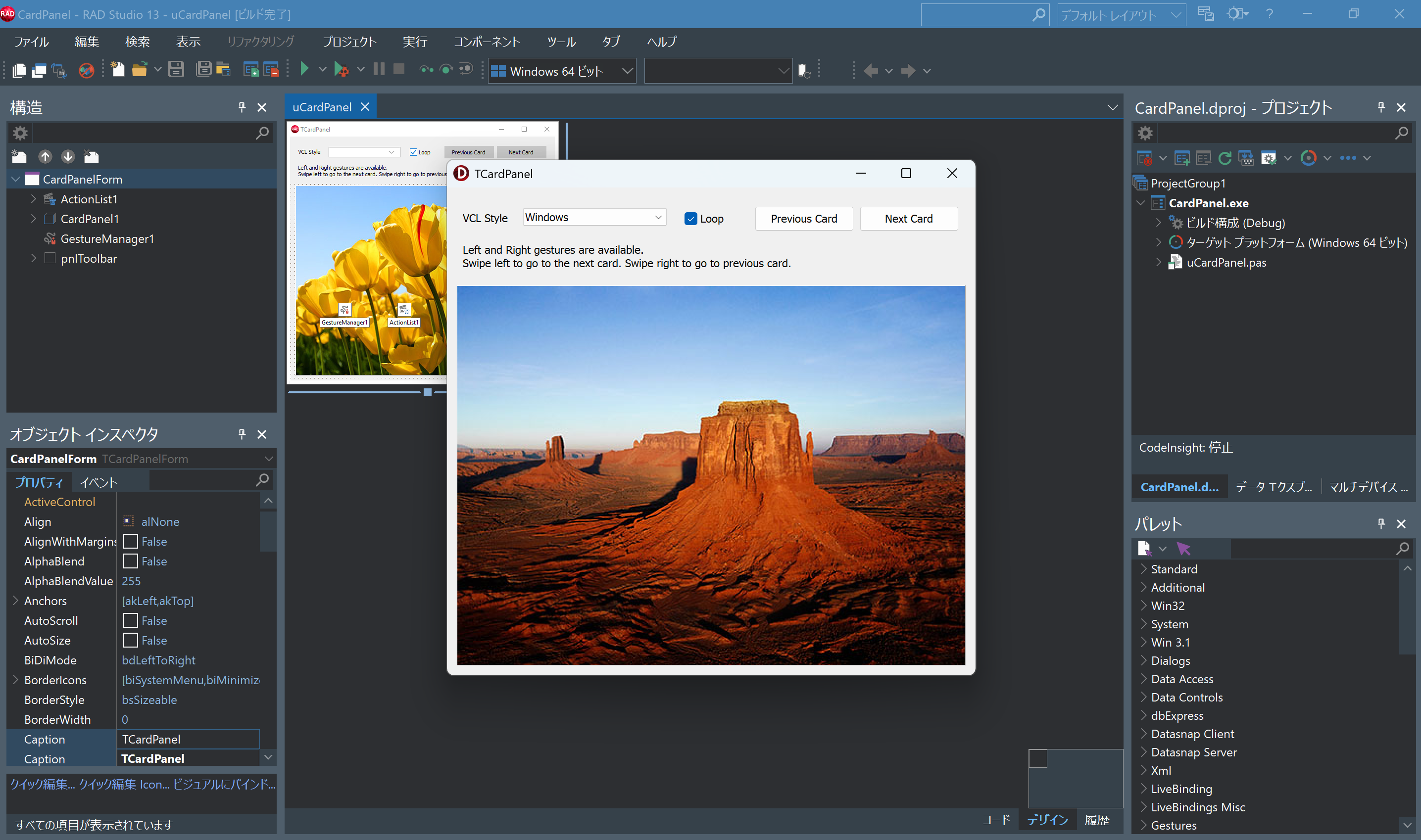 CardPanelDemo 64bit