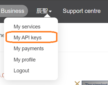 API Key